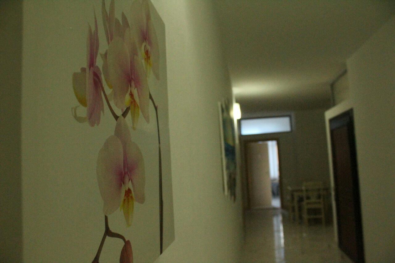 Hotel Kaqaniku Shëngjin Exteriér fotografie